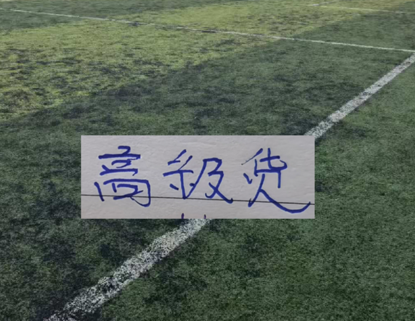九游平台-中超前15轮 各队代表球星！大连马莱莱打出身价
